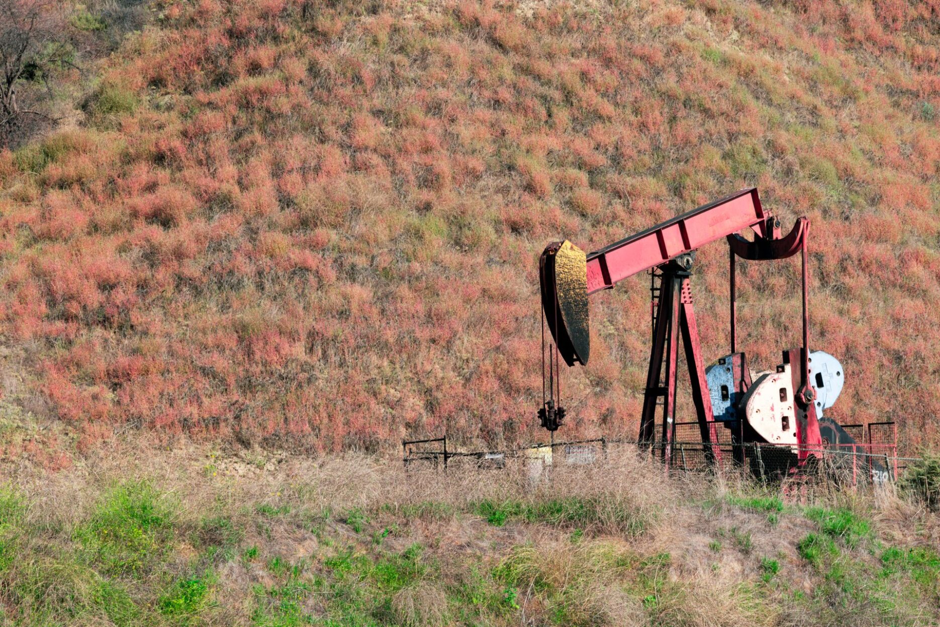 Станок-качалка нефтяной скважины среди поля с осенней растительностью