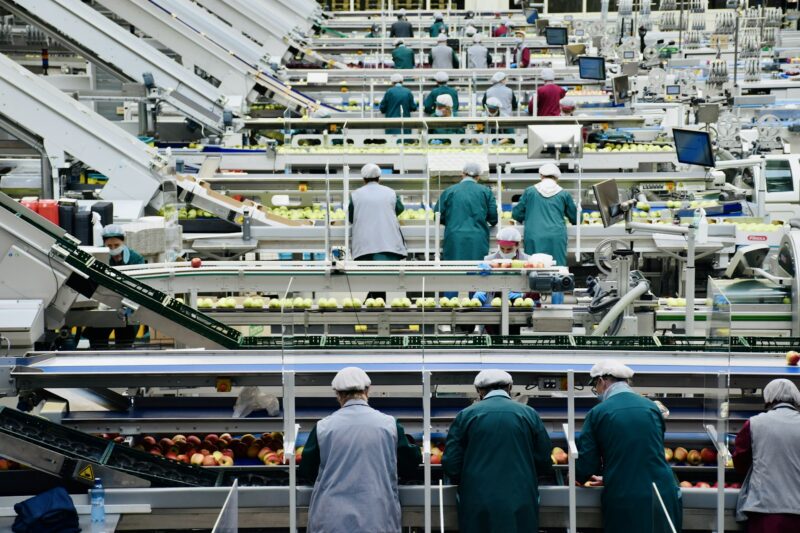 Работники в цехе предприятия по переработке яблок у производственной линии